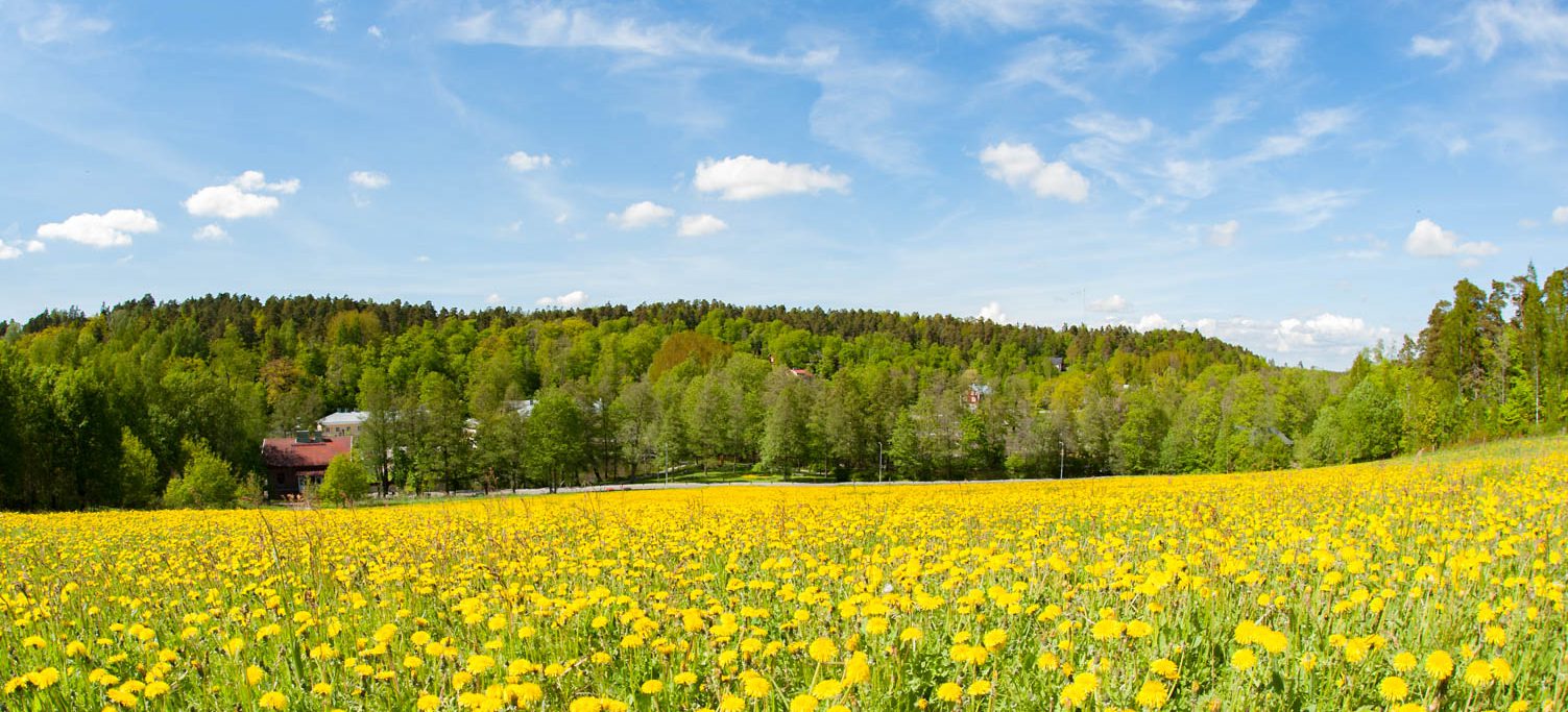 Read more about the article Ruotsia ja akrobatiaa alakouluikaislle Fiskarin koululla keväällä 2019