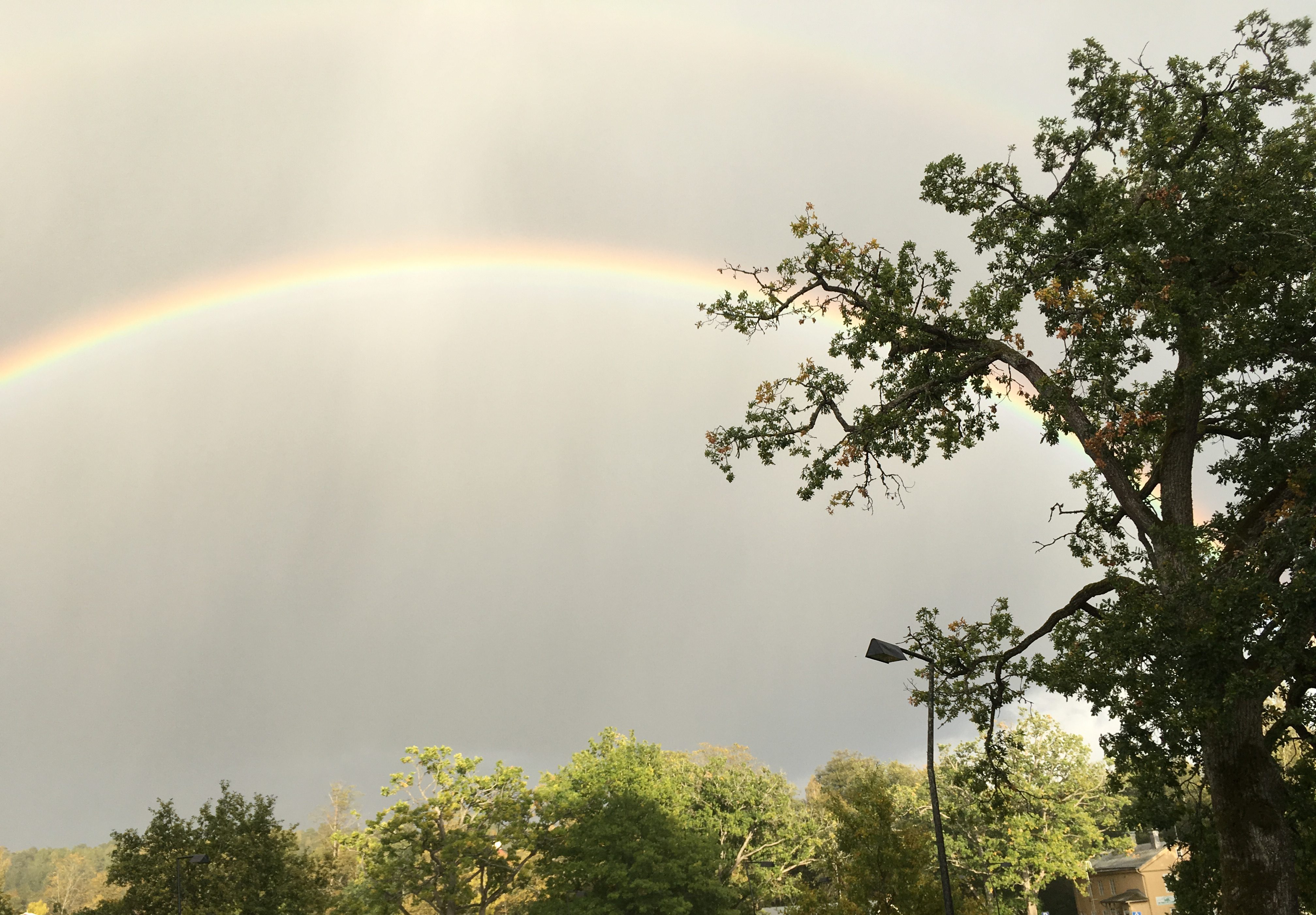 Läs mer om artikeln Parkour-workshop med Alex Högström 28.5.2019