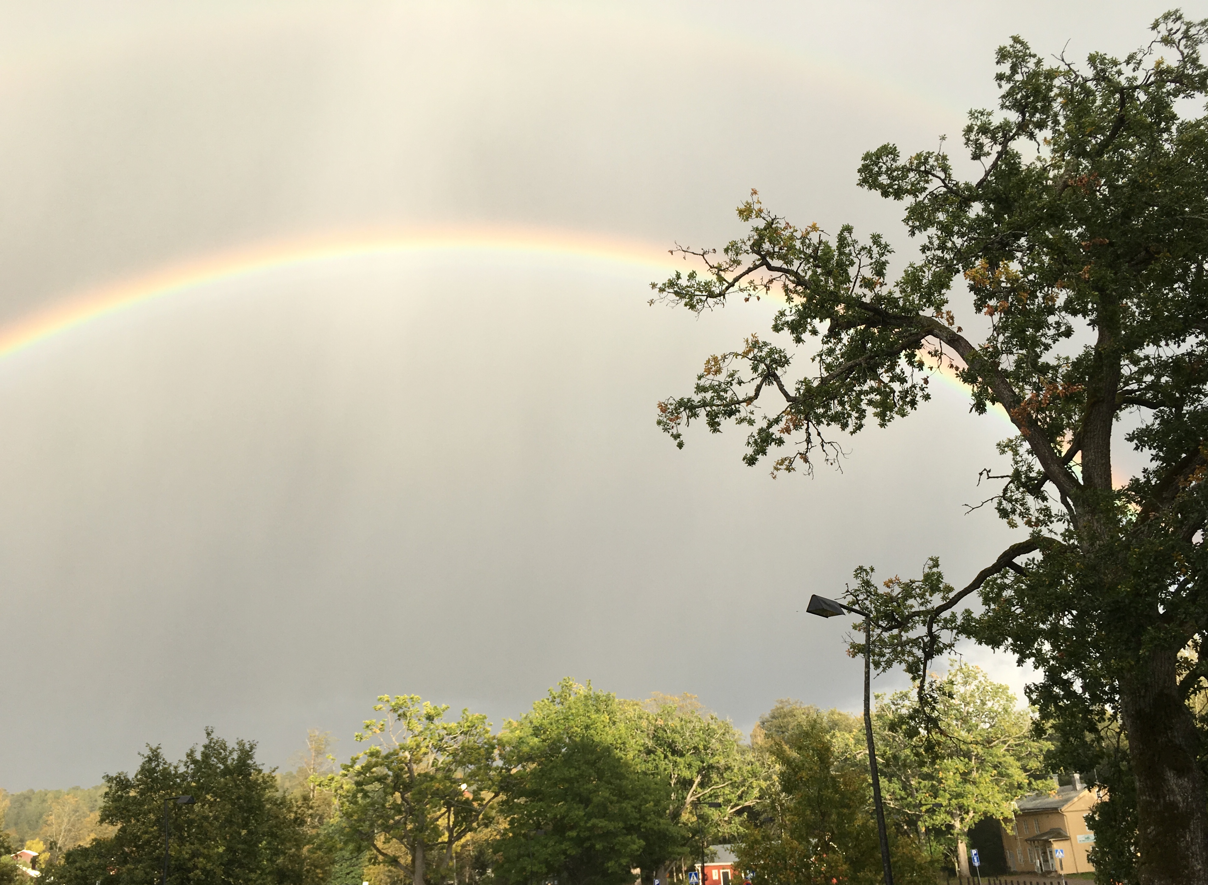Read more about the article Parkour-työpaja Alex Högströmin kanssa 28.6.2019